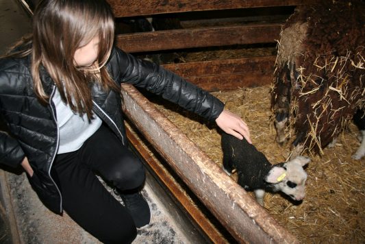 Nachwuchs beim Anderlbauer (1)