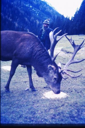 Tierischer Spass Maerchenpark (2)