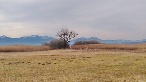 c4e91473-24b2-4831-bcd3-f31ff31dd778