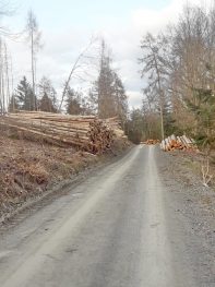 de0ad504-2ae7-400c-8269-1544e9ef3873