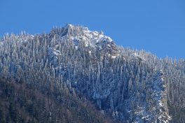 es taut_Foto H. Reiter (2)