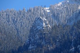 es taut_Foto H. Reiter (3)