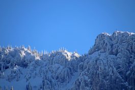 es taut_Foto H. Reiter (4)