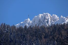 es taut_Foto H. Reiter (5)