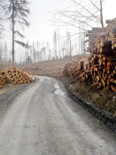 f1102edd-91a5-4239-9692-66c63611f2a7