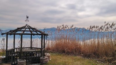 f1d7a727-d6f5-4a03-acfe-12de3a4e13f8