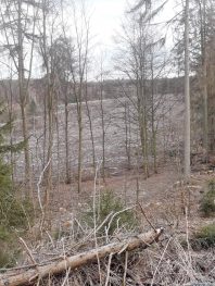 f5ccebe4-bde7-4979-809b-9f3790890d60