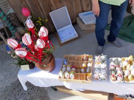 kl-20210328_150954_resized