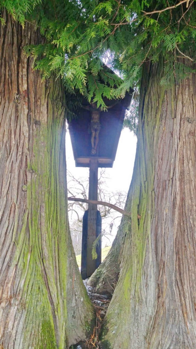 kl-8fa194fb-4064-49e8-810e-c079ce110ca7