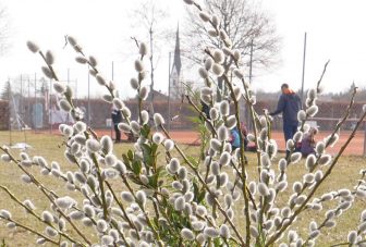 kl-Palmen mit Kirche