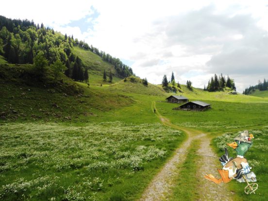 Anterl auf der Alm-Chiemsee-Alpenland Tourismus Huber Wast