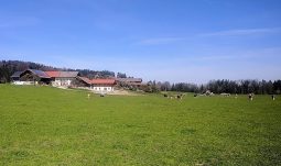 Wanderung zur Ratzinger Höhe