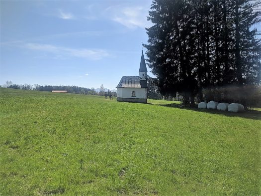 Wanderung zur Ratzinger Höhe