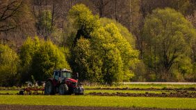 Pfluegen-im-Fruehjahr-1270079-2