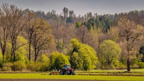 Pfluegen-im-Fruehjahr-1270079