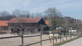 Wanderung zur Ratzinger Höhe