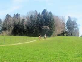 Wanderung zur Ratzinger Höhe