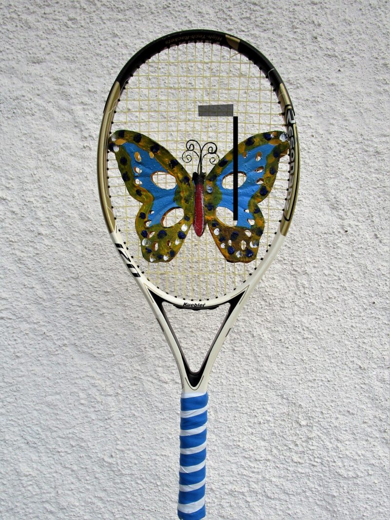 Schmetterlingsfaenger