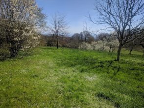 Wanderung zur Ratzinger Höhe