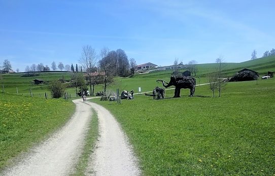 Wanderung zur Ratzinger Höhe