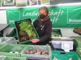 kl-1Stefan Moritz Gärtnerei Kunterbunt