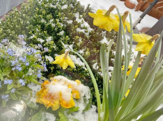 kl-55cd25d8-62f5-43fe-af8e-1bfc4e094cf7