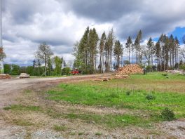 1f7a7ba4-ce4d-44fd-8133-bf62294ef363