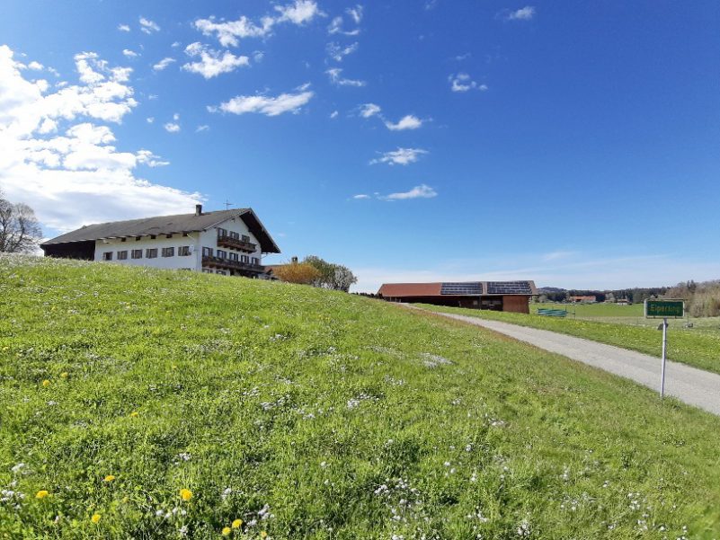 20210430_161658_resized