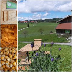 20210529_140631_resized