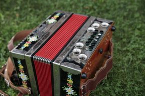 Appetit auf Knoepfe(c)STVLW Wimmer