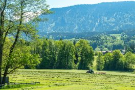 Feldarbeit-Samerberg-1310084