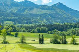 Feldarbeit-Samerberg-1310086