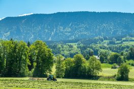 Feldarbeit-Samerberg-1310094