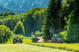 Feldarbeit-Samerberg-1310129