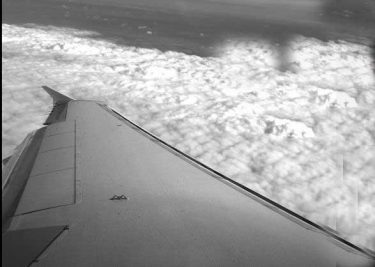 Flugzeugentwicklung (1)