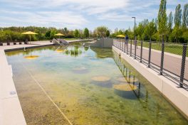 Landesgartenschau (15)