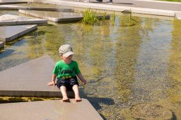 Landesgartenschau (16)