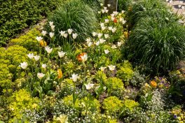 Landesgartenschau (19)