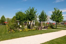 Landesgartenschau (21)