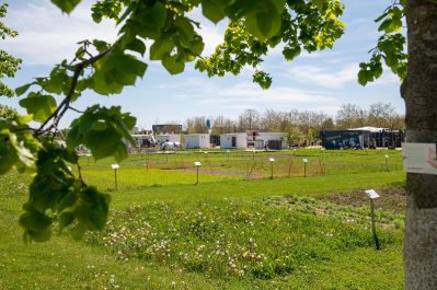 Landesgartenschau (23)