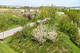 Landesgartenschau (5)