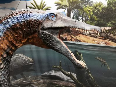 Spinosaurus