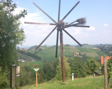 Weinberg(c)STVLW Steinberger