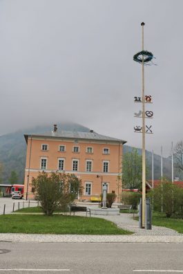 aschau maibaum03