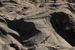 kl-20210313130131_IMG_9528