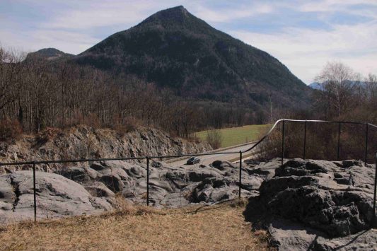 kl-20210313130531_IMG_9542