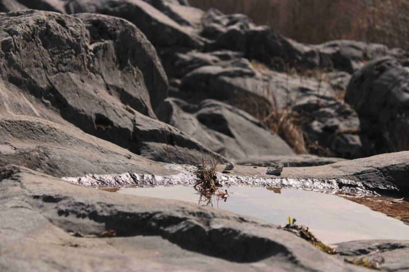 kl-20210313130828_IMG_9549