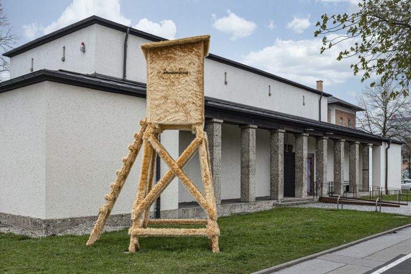 kuschelweich und superzahm Patrik Graf Staedtische Galerie Rosenheim 2021 Foto Patrik Graf