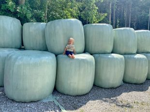 1Ludwig Siloballen 1