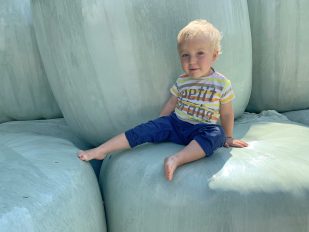 1Ludwig Siloballen 2